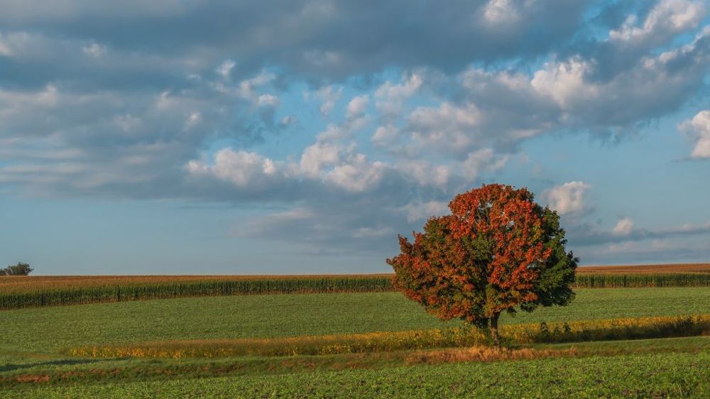 Un climat de saison offre un bon départ des cultures d'hiver. (©Pixabay)