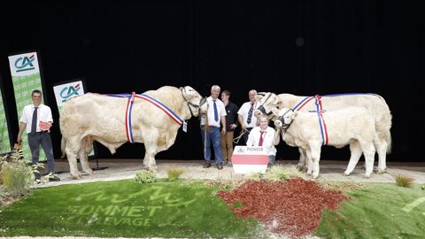 Helena et Nevers remportent le concours Charolais Helena et Nevers remportent le concours Charolais