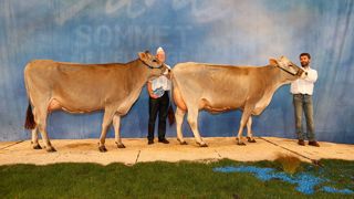 Suivez le concours Brune en live puis retrouvez le palmarès Suivez le concours Brune en live puis retrouvez le palmarès