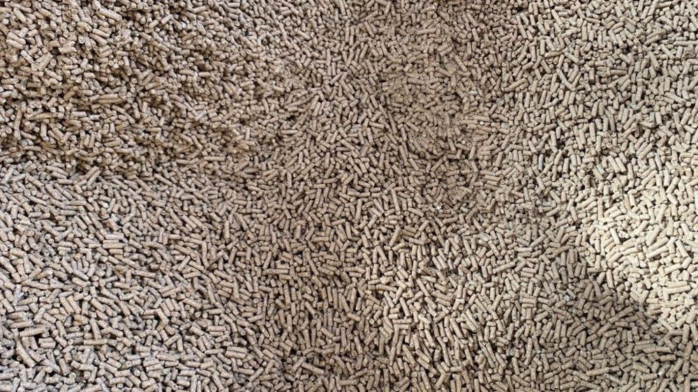 Malgré une légère détente cette semaine sur le marché français, le tourteau de colza pourrait repartir à la hausse, dans le sillage des prix de la graine. (©Terre-net Média) Malgré une légère détente cette semaine sur le marché français, le tourteau de colza pourrait repartir à la hausse, dans le sillage des prix de la graine. (©Terre-net Média)