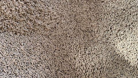 Malgré une légère détente cette semaine sur le marché français, le tourteau de colza pourrait repartir à la hausse, dans le sillage des prix de la graine. (©Terre-net Média) Malgré une légère détente cette semaine sur le marché français, le tourteau de colza pourrait repartir à la hausse, dans le sillage des prix de la graine. (©Terre-net Média)