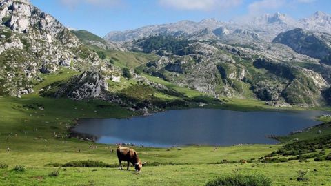 Tous les maillons de la filière laitière mobilisés derrière le lait de montagne Tous les maillons de la filière laitière mobilisés derrière le lait de montagne
