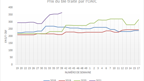 Prix du blé payé par l'OAIC. Prix du blé payé par l'OAIC.