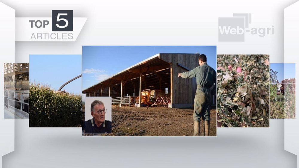 Top articles de Web-agri cette semaine. (©Terre-net Média)<br /><br />