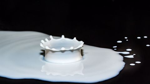 Loïc Guines : « il y a trop de lait bio produit en France » Loïc Guines : « il y a trop de lait bio produit en France »