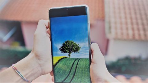 L'étude Agrinautes 2020 porte sur l'usage d'internet par les agriculteurs et les éleveurs. (©Pixabay) L'étude Agrinautes 2020 porte sur l'usage d'internet par les agriculteurs et les éleveurs. (©Pixabay)