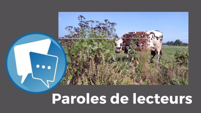paroles de lecteurs web agri prairies pharmacie