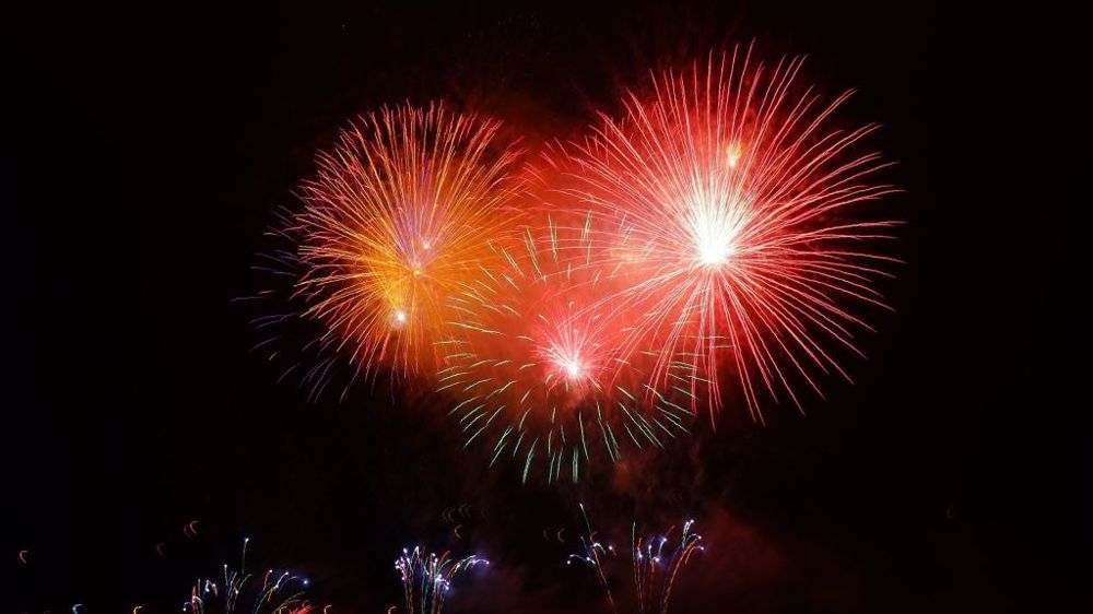Les cours du colza flambent encore et s'approchent des 700 €/t (©Pixabay)