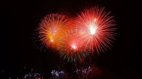 Les cours du colza flambent encore et s'approchent des 700 €/t (©Pixabay)