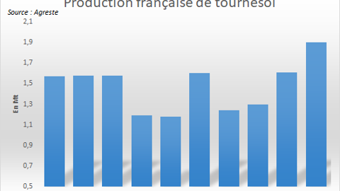 Production française de tournesol.