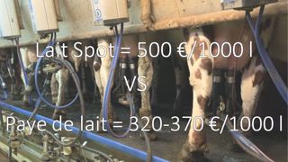 « De 32 ct à 50 ct, la variable d’ajustement, c’est toujours l’éleveur » « De 32 ct à 50 ct, la variable d’ajustement, c’est toujours l’éleveur »