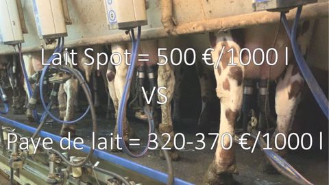 « De 32 ct à 50 ct, la variable d’ajustement, c’est toujours l’éleveur » « De 32 ct à 50 ct, la variable d’ajustement, c’est toujours l’éleveur »