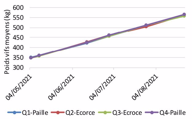 Utiliser l'écorce de bois pour la litière