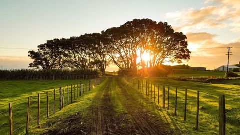 Peuvent entrer dans la réserve foncière de la Région Bretagne : les terres agricoles nues comme bâties. (©Pixabay) Peuvent entrer dans la réserve foncière de la Région Bretagne : les terres agricoles nues comme bâties. (©Pixabay)