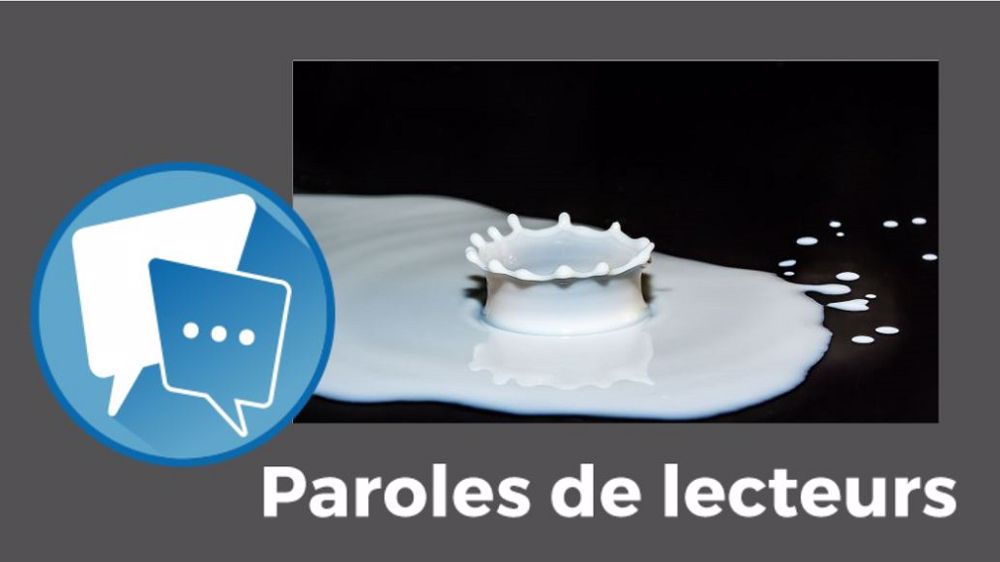  « Faut pas sortir de Saint-Cyr pour savoir que si tous les éleveurs laitiers se mettent en bio, il y en aura trop avec les conséquences que l'on connaît ! », résume Benoît Ollivier. (©Pixabay // Création Terre-net Média)