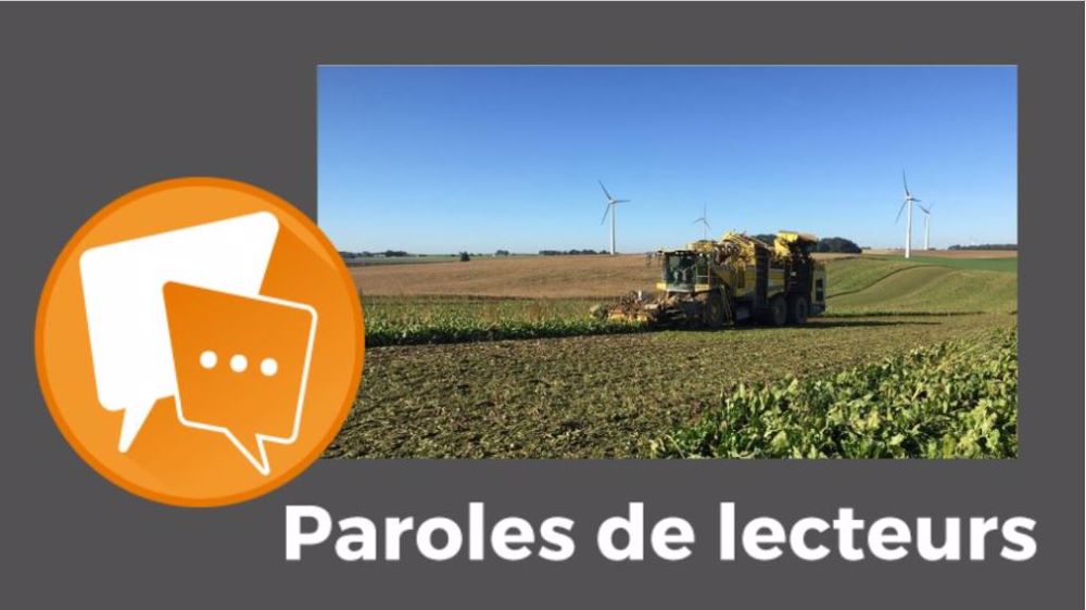  « Arrêter les betteraves, en resemer : ça ne se fait pas d'un claquement de doigts ! », fait remarquer Terminé. (©Terre-net Média)