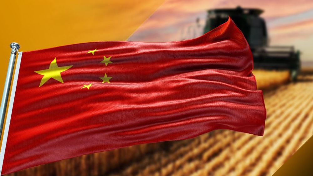 La Chine est le plus gros producteur de blé au monde (©Adobe Stock)