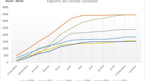 Exports de canola australiens.