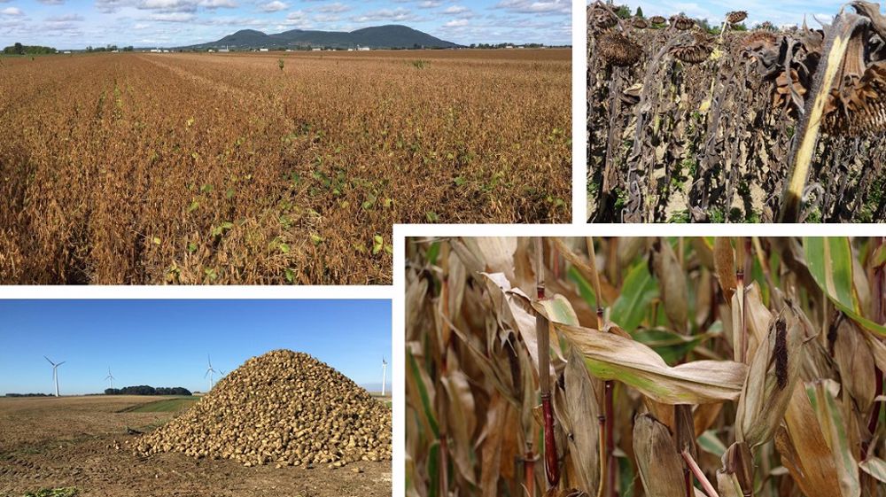 Agreste actualise ses estimations de production au 1<sup>er</sup> novembre 2021. (©Terre-net Média)