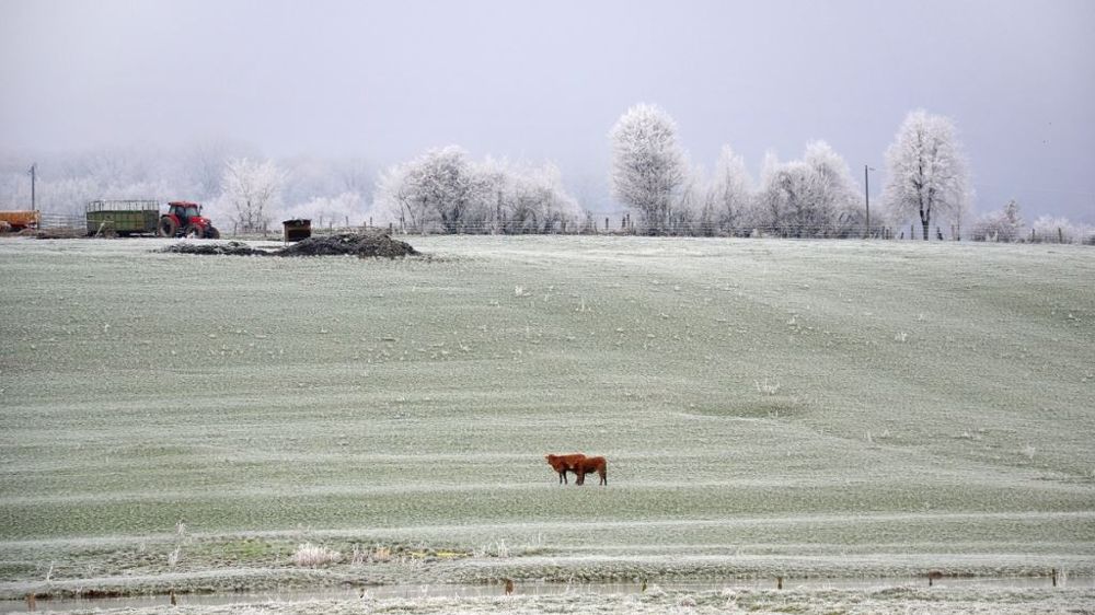 Y aura-t-il une vague de froid en décembre 2021 et janvier 2022 ? (©Pixabay)