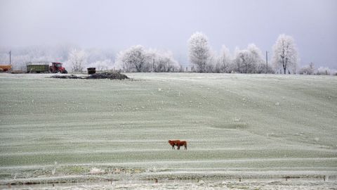Y aura-t-il une vague de froid en décembre 2021 et janvier 2022 ? (©Pixabay)