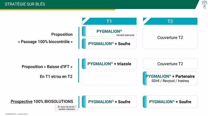Stratégies Pygmalion sur blés