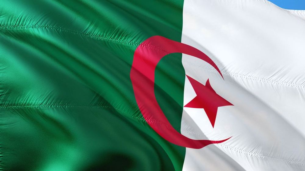 Dans son dernier appel d'offres en blé meunier, l'Algérie a relevé le taux-limite de grains punaisés acceptés (©Pixabay)