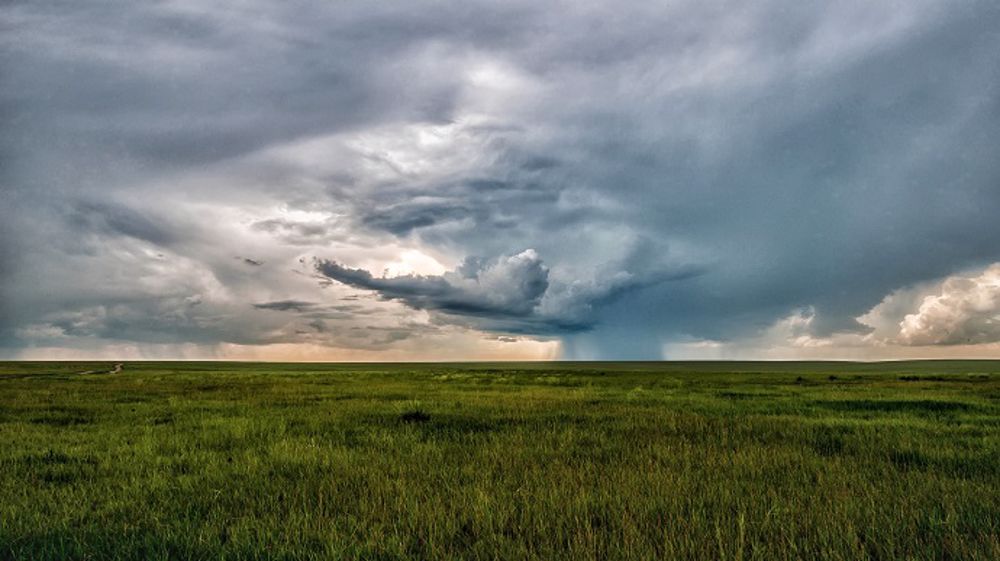 Un climat plus humide profite aux cultures avant le retour du beau temps. (©PixaBay)