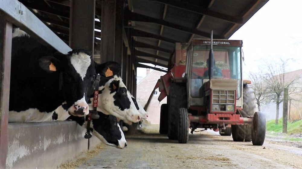 Les prix des matières premières restent élevés, en particulier en ce qui concerne l'alimentation animale (©Terre-net Média)