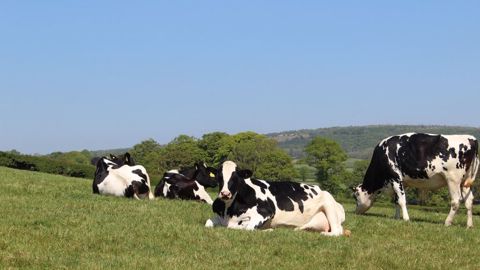 La méthode Carbon Agri évolue La méthode Carbon Agri évolue