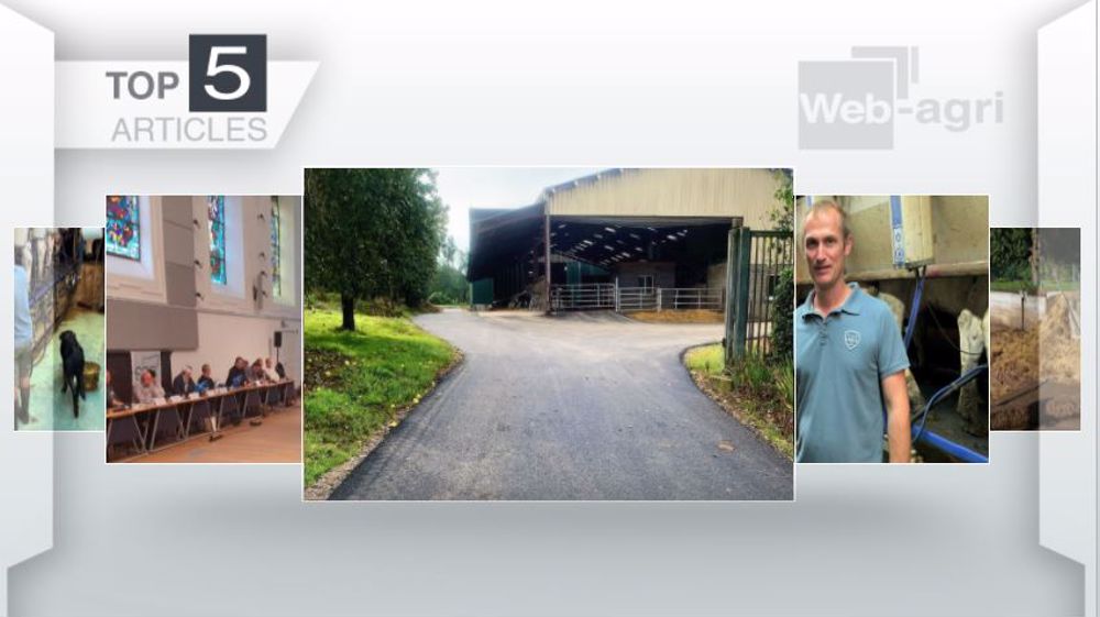 Articles les plus lus sur Web-agri cette semaine. (©Terre-net Média)