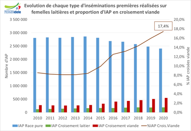 Insémination des femelles laitières en croisement viande