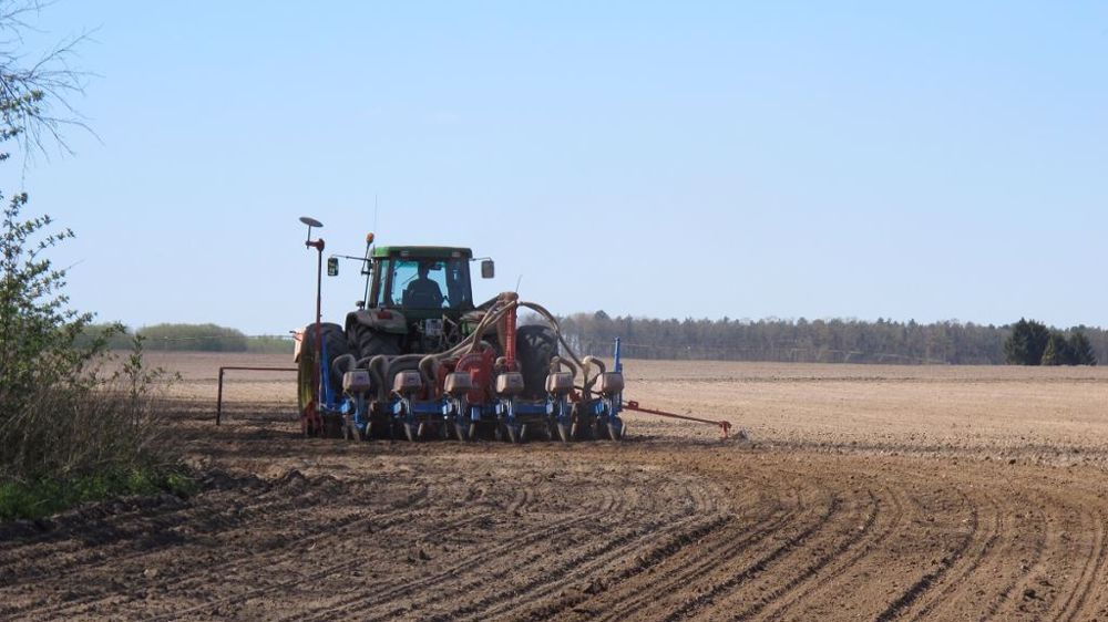 17 variétés de maïs bio (grain et fourrage) seront disponibles dans la gamme Saatbau pour les semis 2022. (©Terre-net Média)