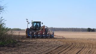17 variétés de maïs bio (grain et fourrage) seront disponibles dans la gamme Saatbau pour les semis 2022. (©Terre-net Média) 17 variétés de maïs bio (grain et fourrage) seront disponibles dans la gamme Saatbau pour les semis 2022. (©Terre-net Média)