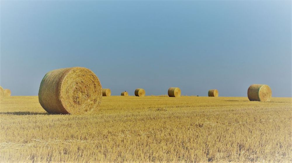 Le dernier recensement agricole montre que la France a perdu 100 000 exploitations agricoles en 10 ans, mais la surface agricole utile est restée stable. (©Pixabay)