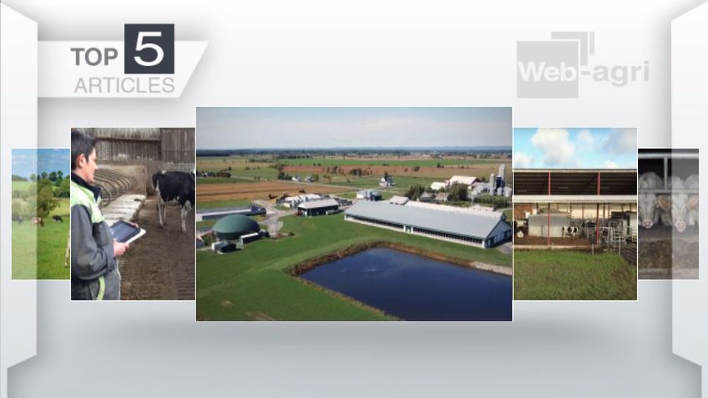 Articles les plus lus sur Web-agri cette semaine. (©Terre-net Média)