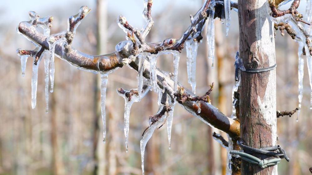Une nouvelle enveloppe est ouverte pour financer les équipements de protection contre les aléas climatiques. (©Pixabay)
