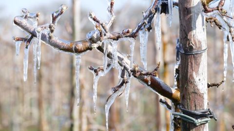 Une nouvelle enveloppe est ouverte pour financer les équipements de protection contre les aléas climatiques. (©Pixabay) Une nouvelle enveloppe est ouverte pour financer les équipements de protection contre les aléas climatiques. (©Pixabay)