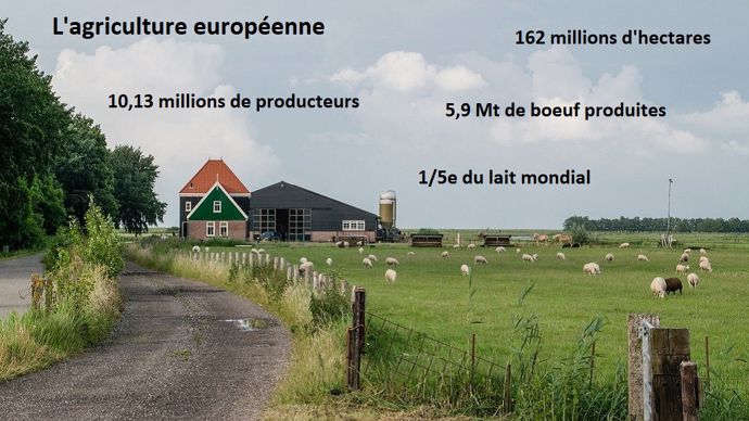 Chiffres Clés Sur L'agriculture Européenne