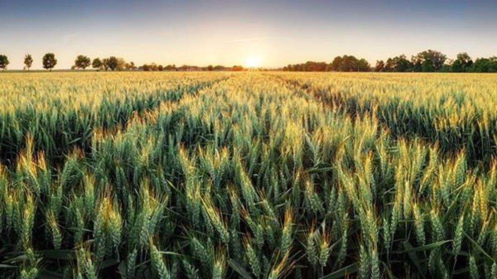 <a href="http://www.regie-agricole.com/includes/redirect.asp?id=2809" title="Guide" target="_blank">Téléchargez le guide</a> Biosolutions De Sangosse