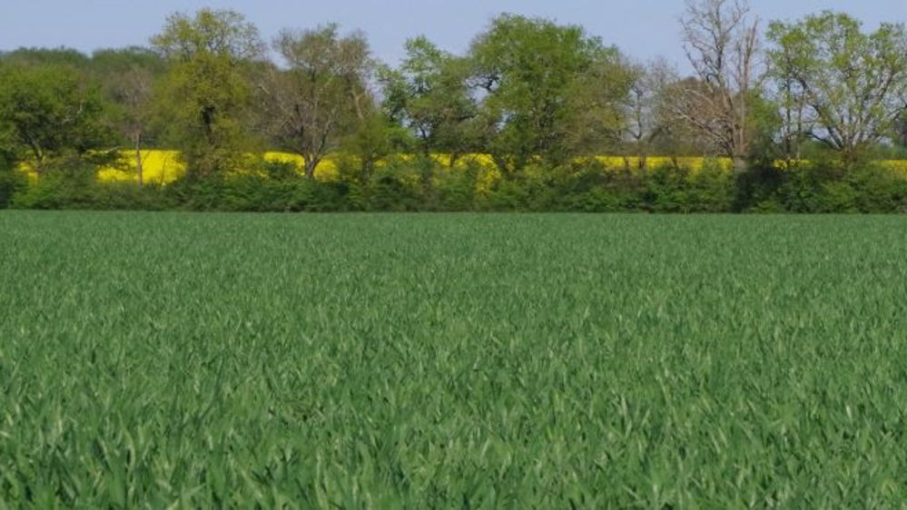 <a href="http://www.regie-agricole.com/includes/redirect.asp?id=2811" title="Guide" target="_blank">Téléchargez le guide</a> Biosolutions De Sangosse