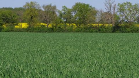 <a href="http://www.regie-agricole.com/includes/redirect.asp?id=2811" title="Guide" target="_blank">Téléchargez le guide</a> Biosolutions De Sangosse