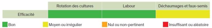 Leviers agronomiques contre le bleuet des champs.