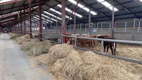 Visitez un centre d'allotement pour savoir où transitent vos animaux Visitez un centre d'allotement pour savoir où transitent vos animaux