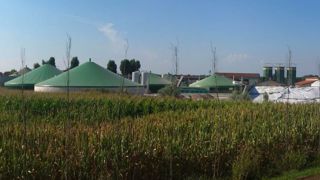 Le prétraitement des Cive à la chaux permet d'augmenter jusqu'à 15 % la production de biogaz. (©CC) Le prétraitement des Cive à la chaux permet d'augmenter jusqu'à 15 % la production de biogaz. (©CC)
