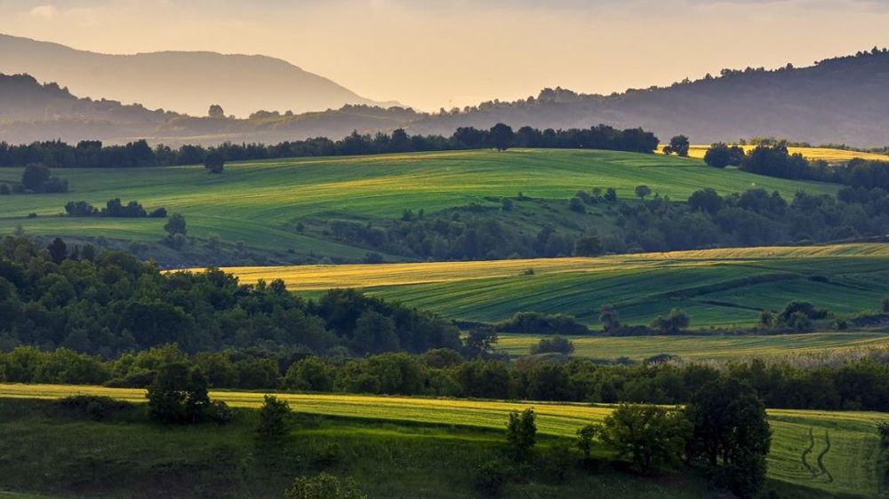 Les objectifs climatiques et de biodiversité doivent être pris en compte dans le futur système de stockage agricole du carbone selon l'Iddri et l'I4CE. (©Pixabay)