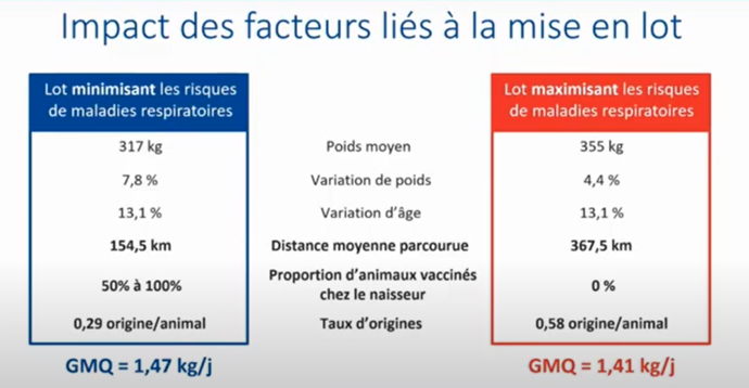 Facteur limitant les troubles respiratoires à l'engraissement