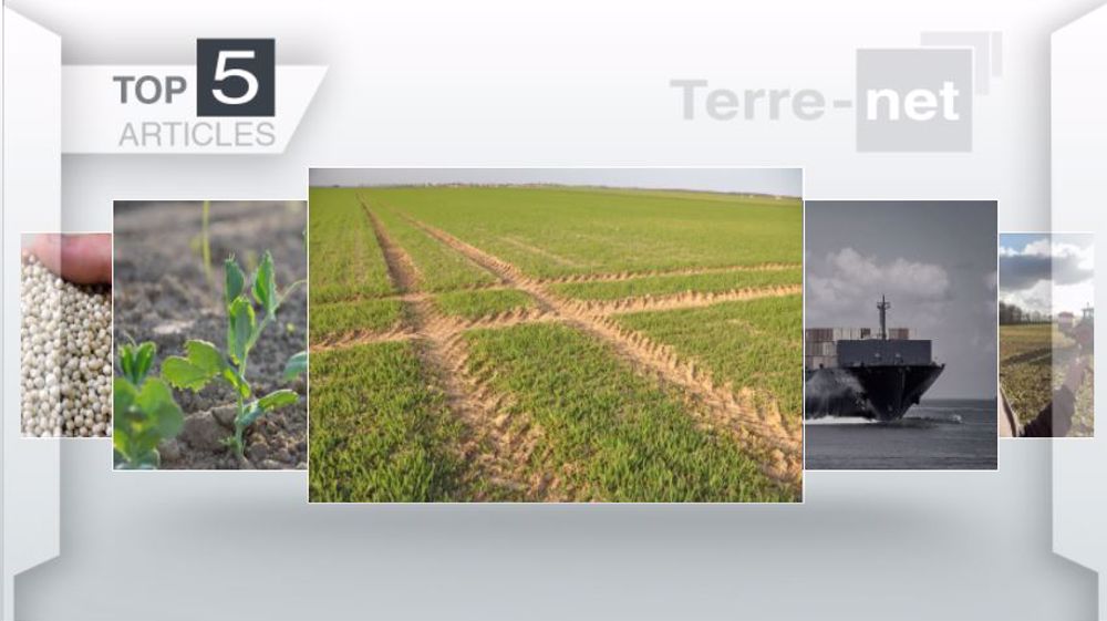 Articles les plus lus sur Terre-net cette semaine. (©Terre-net Média)