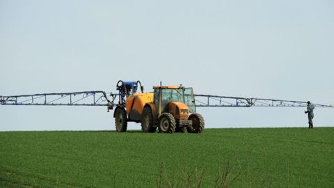 Un grand nombre de leviers existent pour protéger ses cultures tout en limitant le nombre de traitements phytosanitaires. Pour identifier ceux que vous pourriez adopter, <a href="https://www.studioagri.fr/2022/Isagri/03_S10/Formulaire.html" title="Télécharger le livre blanc" target="_blank">parcourez le livre blanc sur les IFT</a>. (©Stéphane Leitenberger - Adobe Stock)<span style="font-size: 14px; text-align: justify; color: #000000;">  
