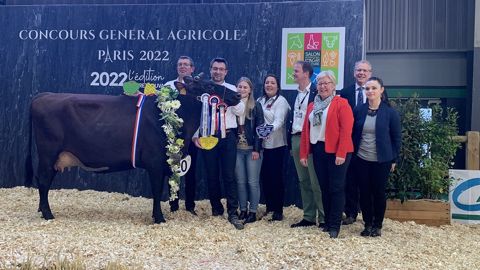 Orène (Ferme du coucou - 59) remporte le concours rouge flamande Orène (Ferme du coucou - 59) remporte le concours rouge flamande
